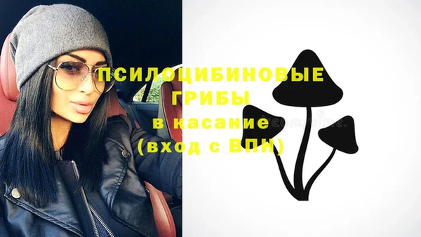 тгк Абинск