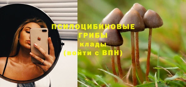 тгк Абинск
