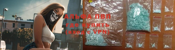 тгк Абинск
