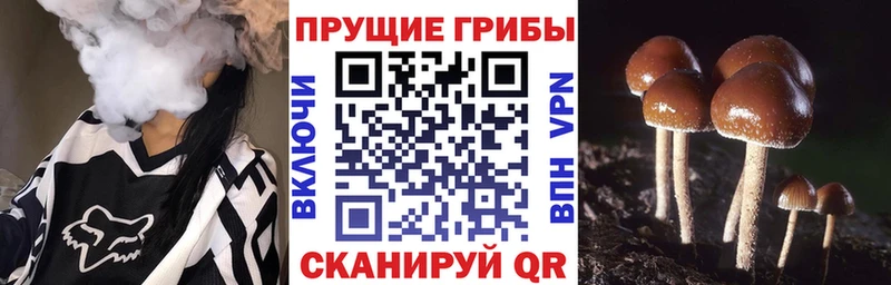 Галлюциногенные грибы ЛСД цены гидра сайт Канск